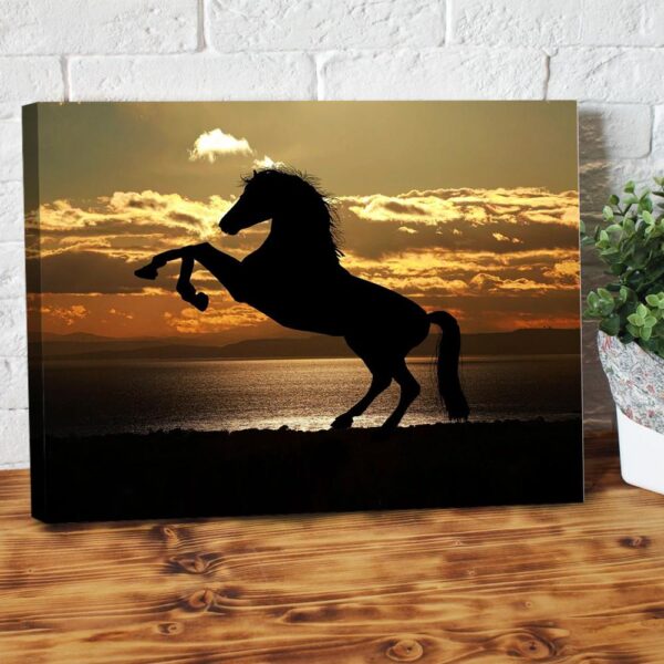 Horse Silhouette Canvas Prints