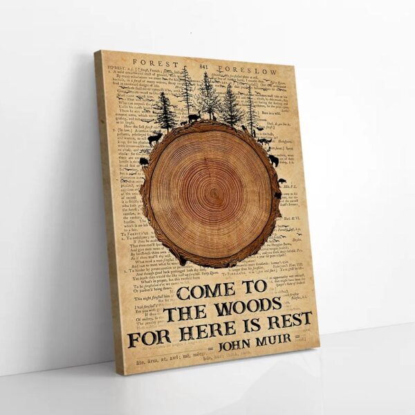 Forest Come To The Woods Canvas Prints
