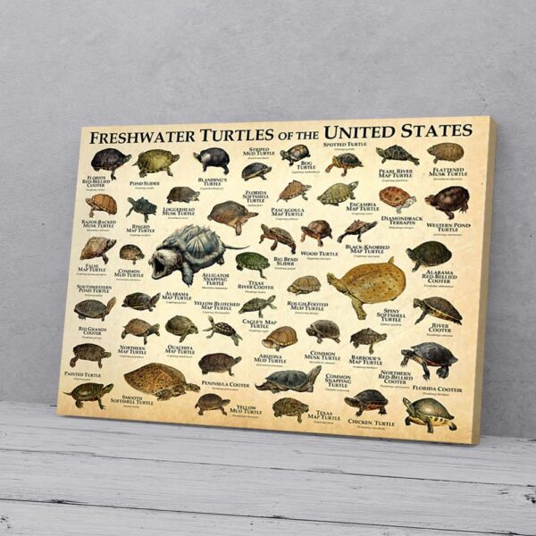 Freshwater Turtles Of The United States Horizontal Matte Canvas