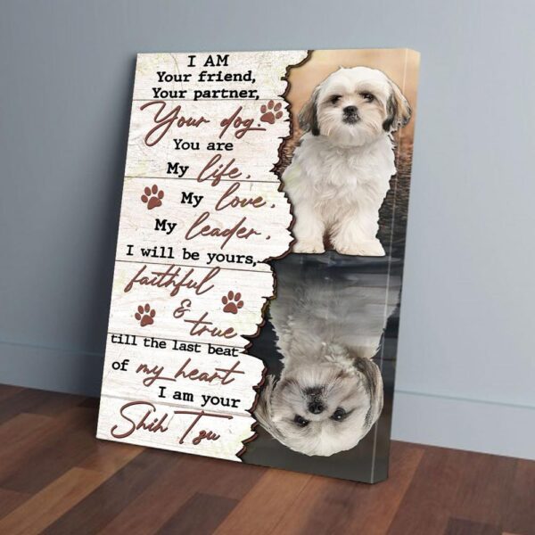 I Am Your Friend Shih Tzu Reflection Matte Canvas