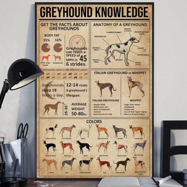 Greyhound Knowledge Matte Canvas