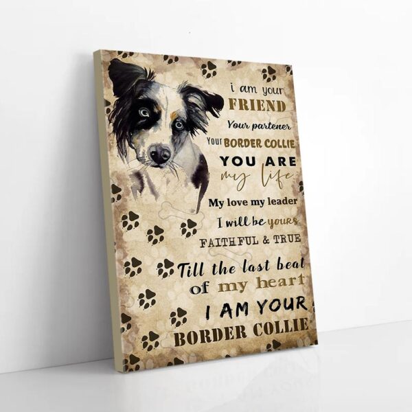 I Am Your Friend Your Border Collie Friend Matte Canvas Wall Art
