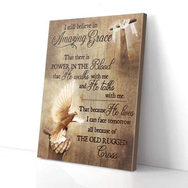 I Stil Believe In Amazing Grace Cross Dove Matte Canvas Wall Art