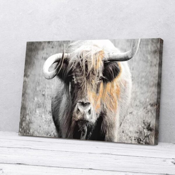 Highland Cattle Matte Canvas Wall Art V3