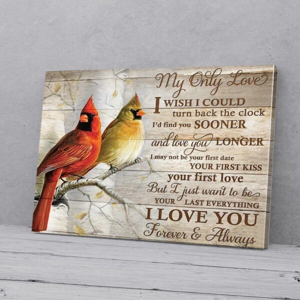 I Love You Couple Cardinal Love Canvas Wall Art