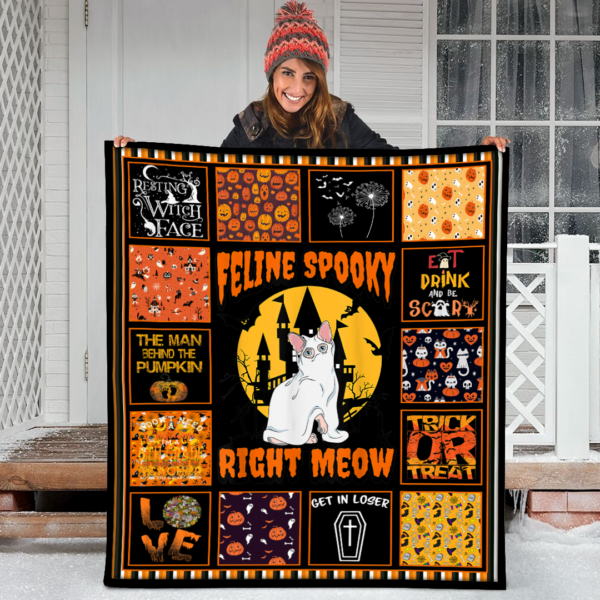 Halloween Feline Spooky Right Meow Cat Ghost Pun Fleece Sherpa Blanket