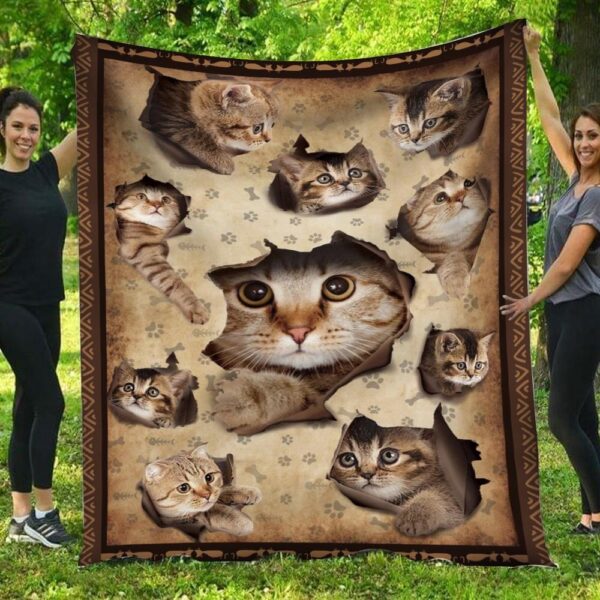 Naughty Cats Blanket