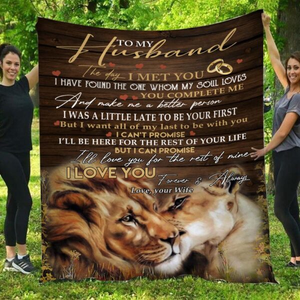 To My Husband The Day I Met You Lion Love Blanket