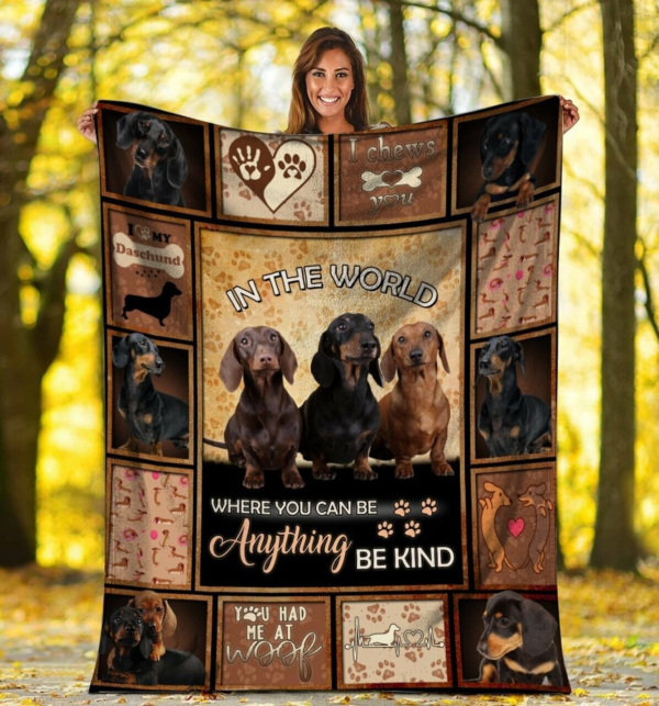 In The World Dachshund Dog Custom Fleece Blanket Sherpa Blanket