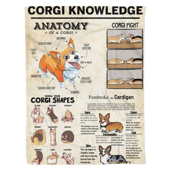 Corgi Knowledge Pembroke Vs Cardigan Vintage Super Warm Cozy Fleece Blanket Sherpa Blanket