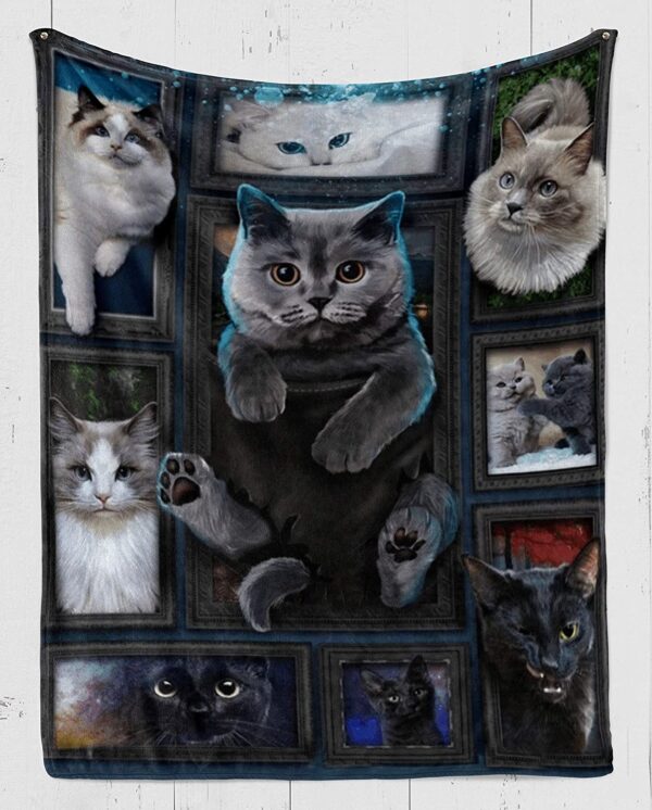 Cute Cat In Pocket British Cat Black Cat Persian Fleece Fleece Blanket Sherpa Blanket