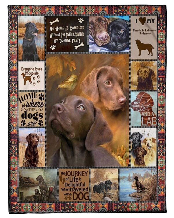 Labrador Retriever Anatomy Fleece Blanket Sherpa Blanket