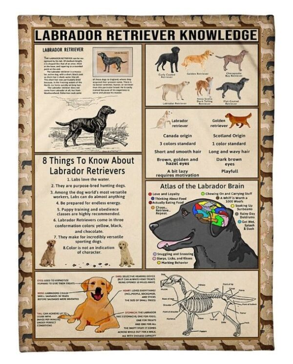 Vintage Labrador Retriever Knowledge Fleece Blanket Sherpa Blanket