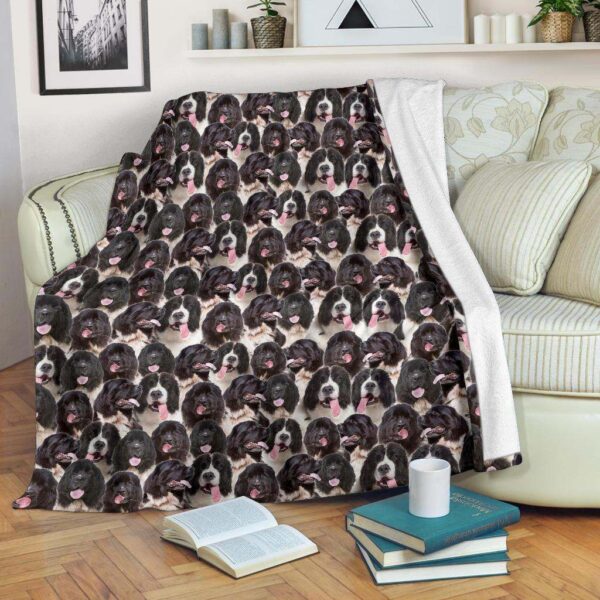 Landseer Full Face Fleece Blanket Sherpa Blanket