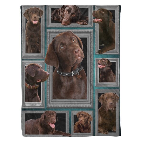 Labrador Funny Beautiful Chocolate Faces Fleece Blanket Sherpa Blanket