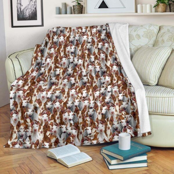 Ibizan Hound Full Face Fleece Blanket Sherpa Blanket