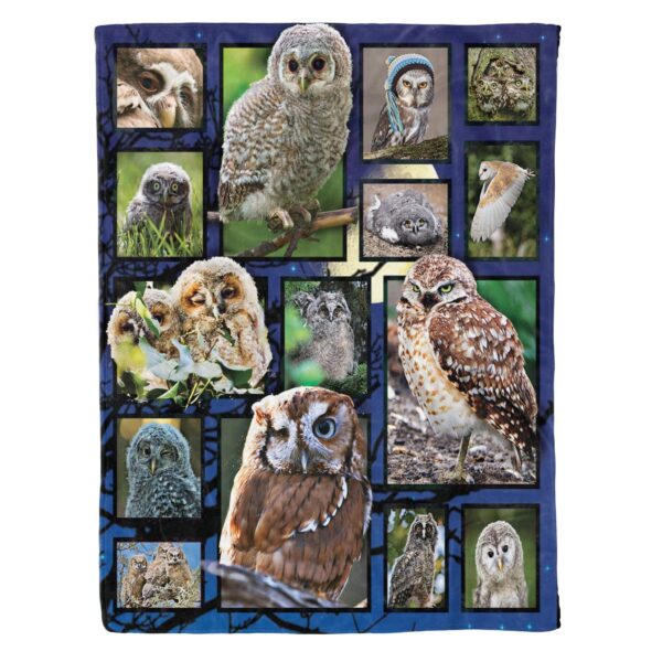 Owl Fleece Blanket Sherpa Blanket