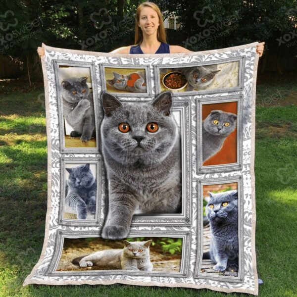 British Short Hair Cat Fleece Blanket Sherpa Blanket