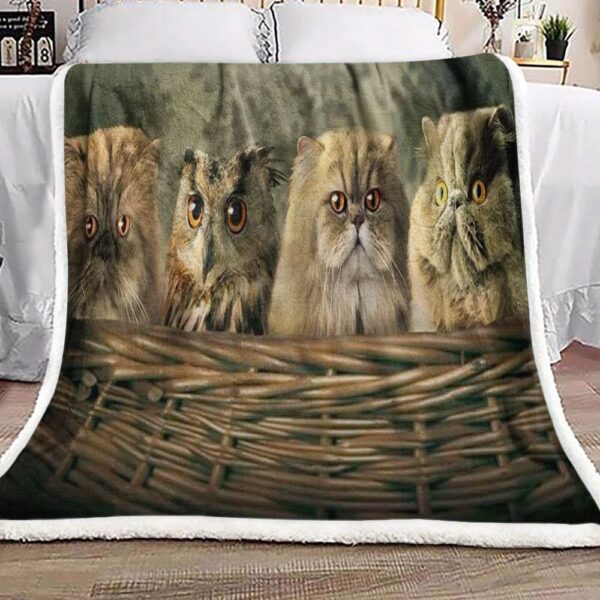 Owl And Cat Fleece Blanket Sherpa Blanket