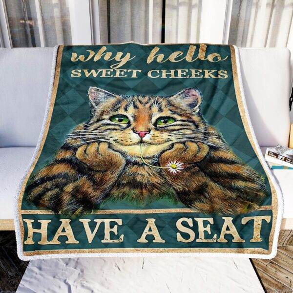 Cat Why Hello Sweet Cheeks Have A Seat Fleece Blanket Sherpa Blanket