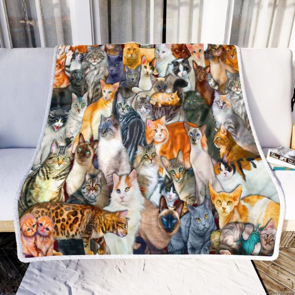 Types Of Cat Fleece Blanket Sherpa Blanket