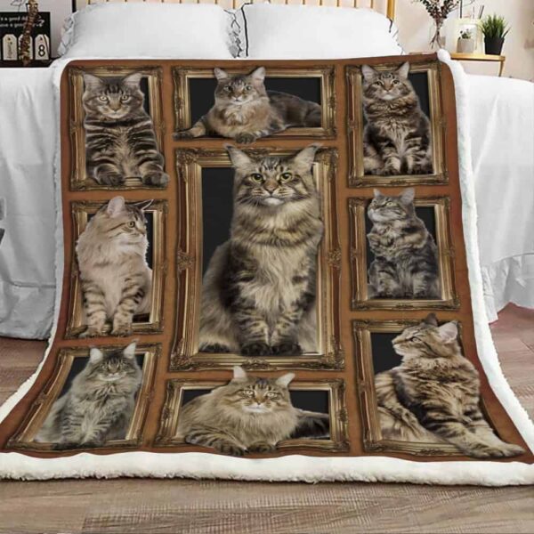Maine Coon Cat In Dark Fleece Blanket Sherpa Blanket