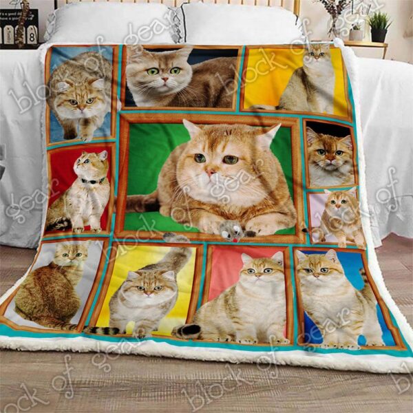 British Shorthair Cat Fleece Blanket Sherpa Blanket
