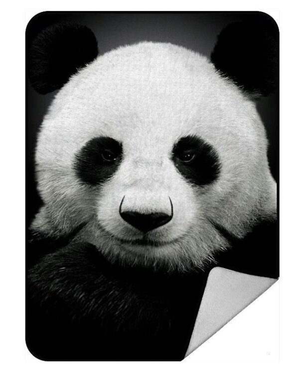 Panda Fleece Blanket Sherpa Blanket