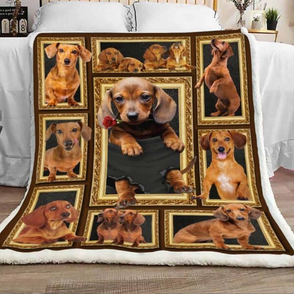 Dachshund Dog And Rose Fleece Blanket Sherpa Blanket