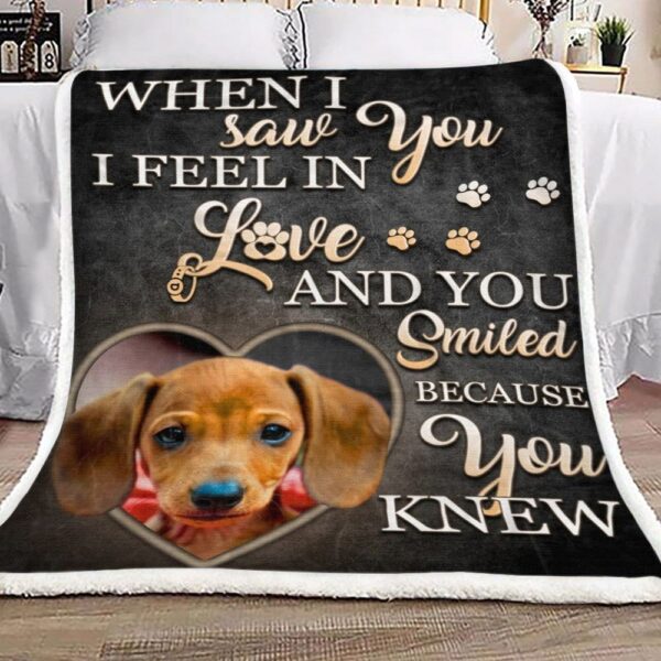 Dachshund Fleece Blanket Sherpa Blanket