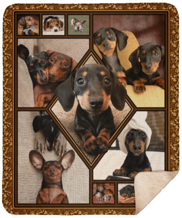 Dachshunds Fleece Blanket Sherpa Blanket