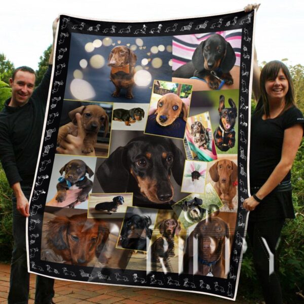 Dachshunds Shades Fleece Blanket Sherpa Blanket