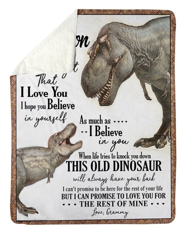 Dinosaur Grammy To Grandson Fleece Blanket Sherpa Blanket