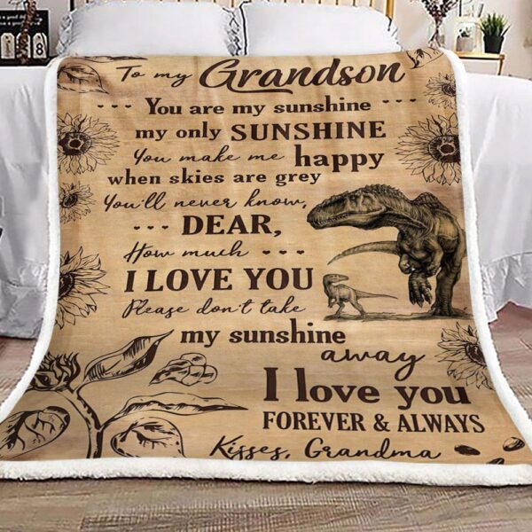 Dinosaurs To My Grandson Kisses Your Grandma Fleece Blanket Sherpa Blanket