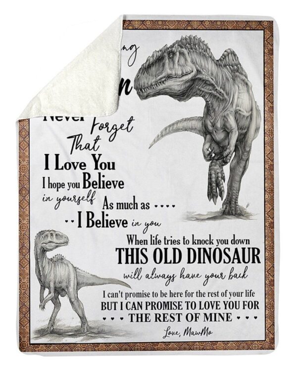 Dinosaur Grandma To Grandson Fleece Blanket Sherpa Blanket