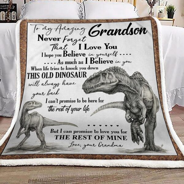 Dinosaur Grandma To Grandson Fleece Blanket Sherpa Blanket