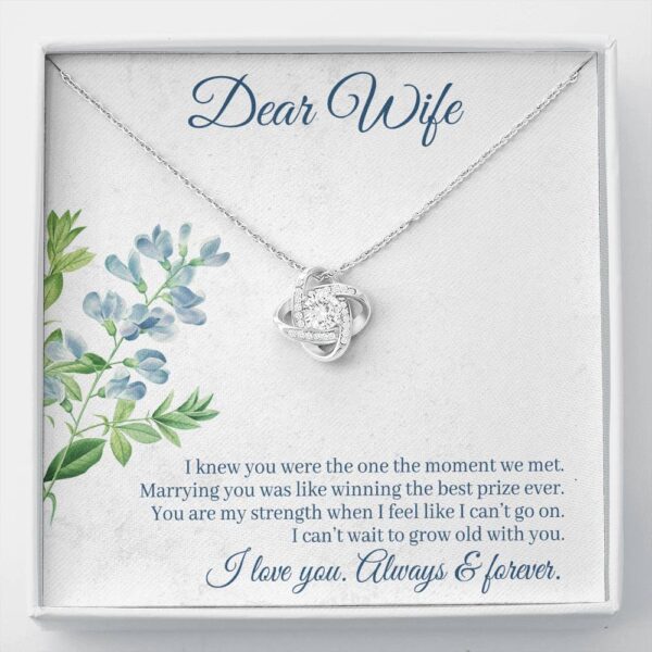 Dear Wife "The One" Love Knot Necklace Gift Set