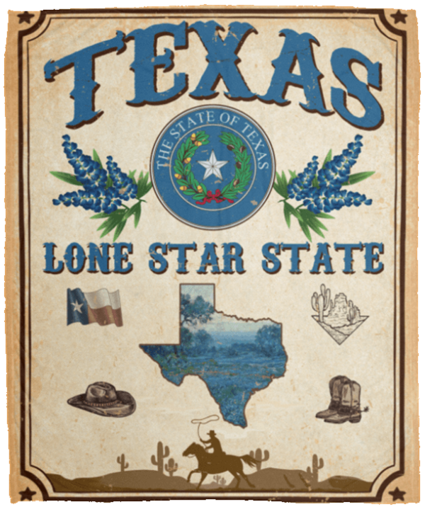 Texas Lone Star State Vintage Retro Fleece Blanket Sherpa Blanket