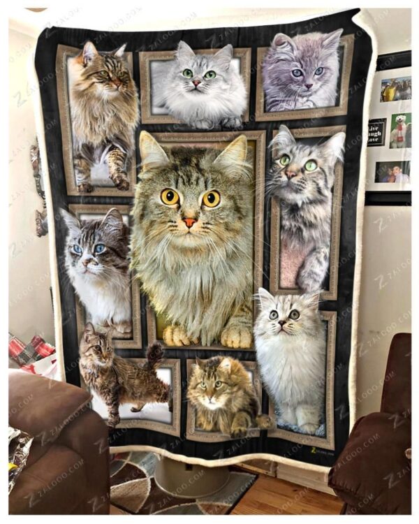 Cat Cute Cats Fleece Blanket Sherpa Blanket