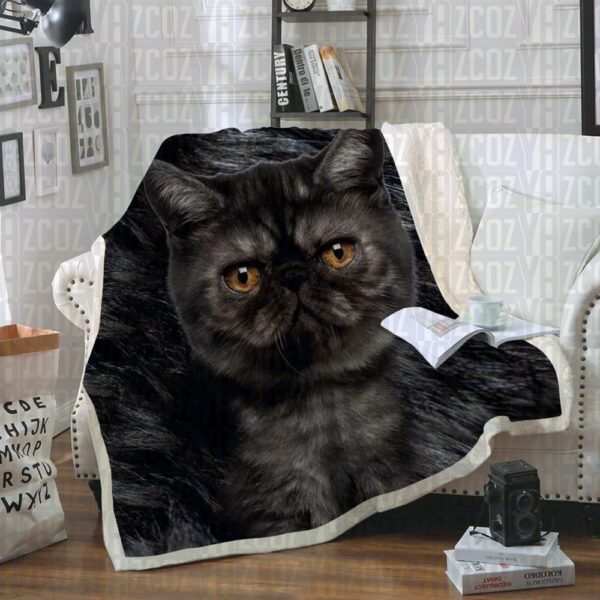 Exotic Shorthair Cat Fleece Blanket Sherpa Blanket
