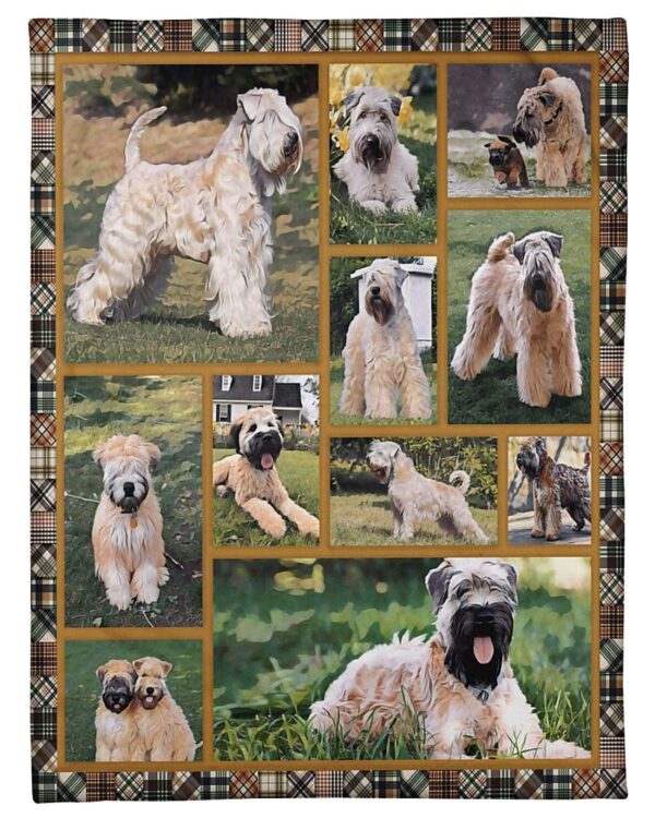 Soft Coated Wheaten Terrier Cute Fleece Blanket Sherpa Blanket