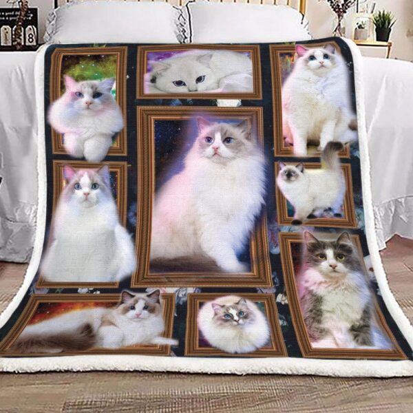 Gold Frame Cat Cute Fleece Blanket Sherpa Blanket