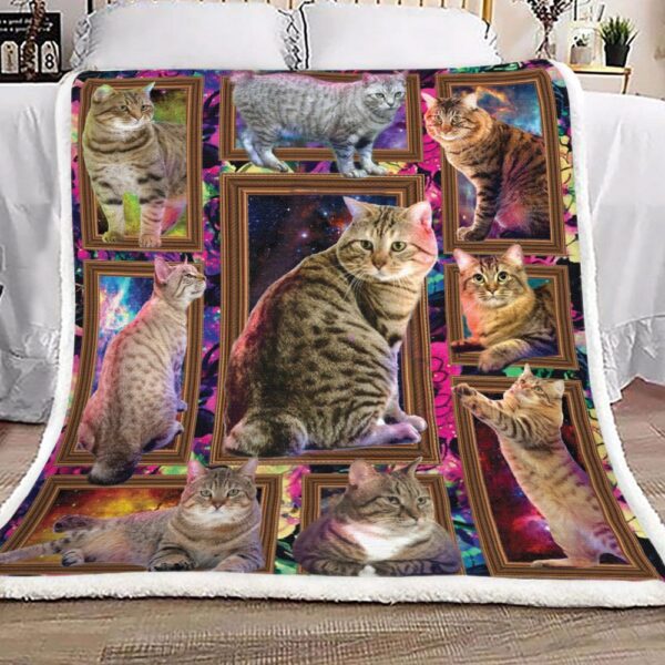 Gold Frame Cat Cute Fleece Blanket Sherpa Blanket