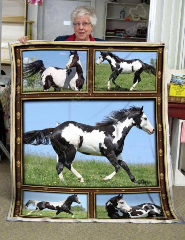 Paint Horse Fleece Blanket Sherpa Blanket